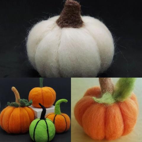 pumpkins & gourds